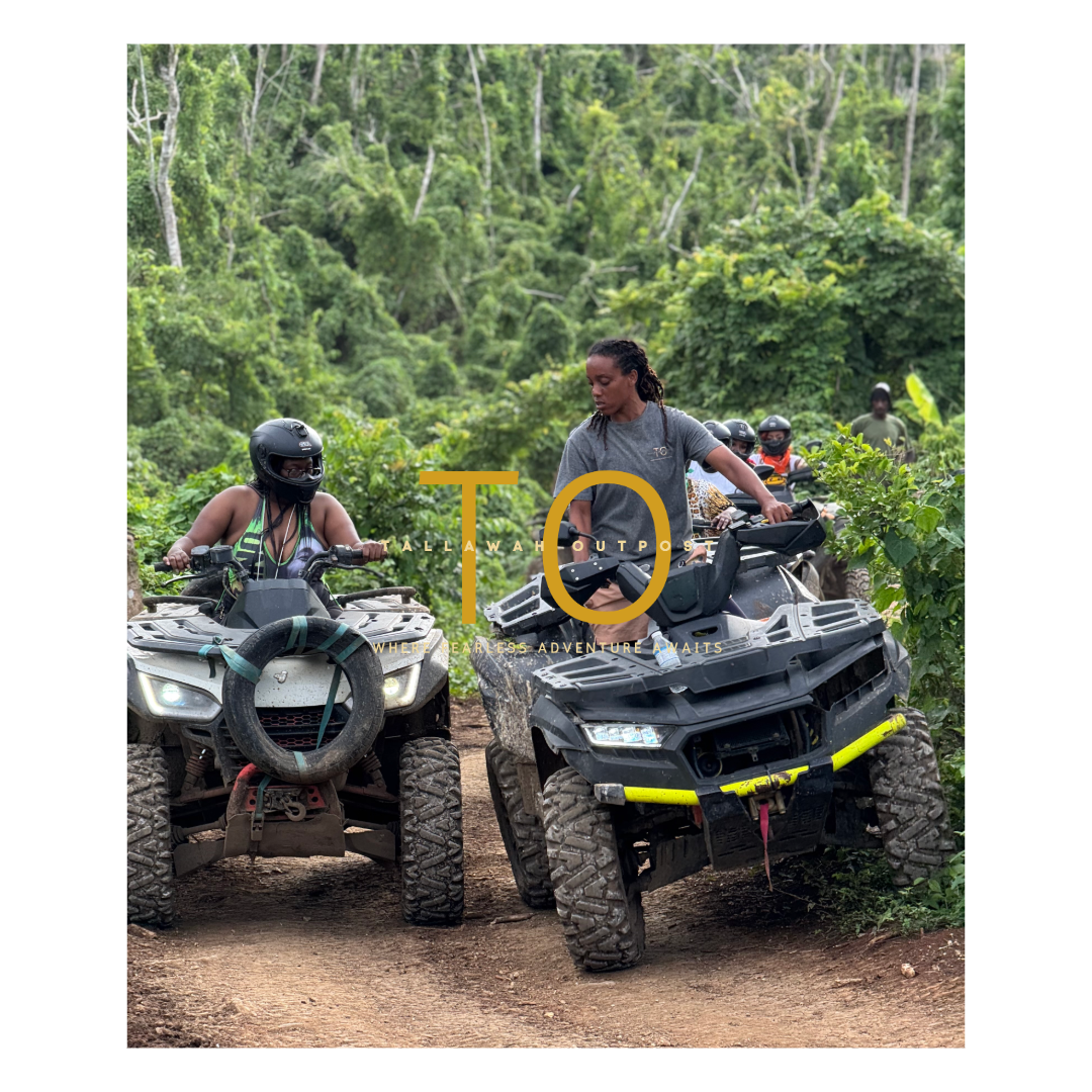 ATV Jungle Ride & Mountain Trail Horseback Riding Experience Combo Package
