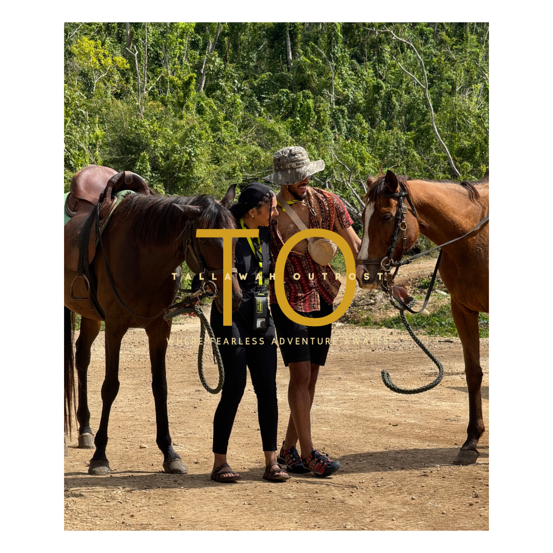 Mountain Trail Horseback Riding Experience