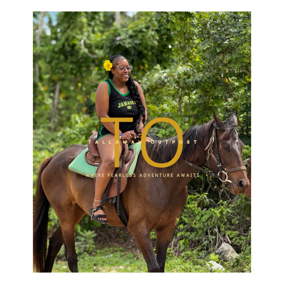 Mountain Trail Horseback Riding Experience