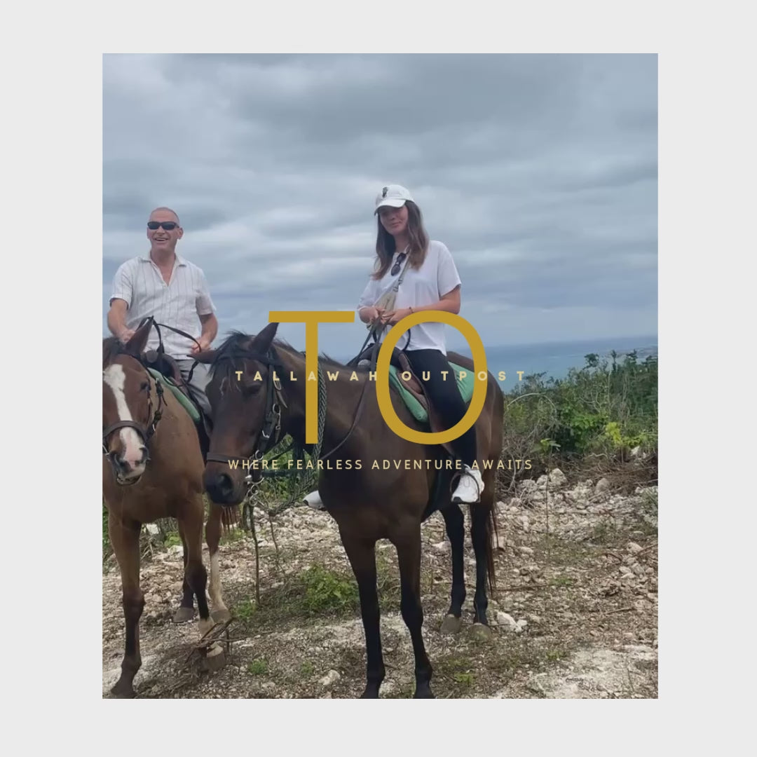 Mountain Trail Horseback Riding Experience